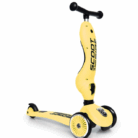 srlemon1