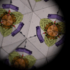 Filibabba_kaleidoskop1